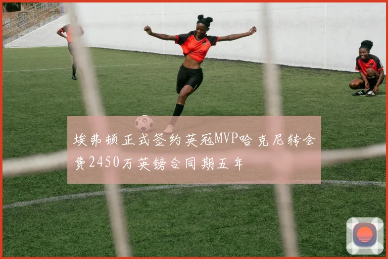 埃弗顿正式签约英冠MVP哈克尼转会费2450万英镑合同期五年