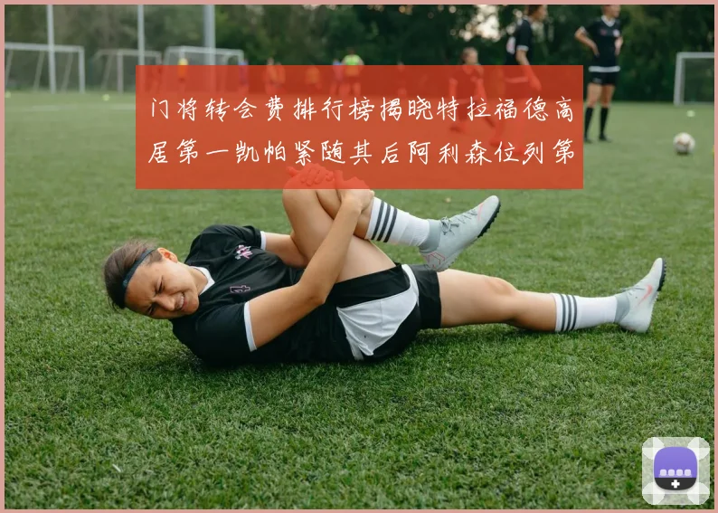 门将转会费排行榜揭晓特拉福德高居第一凯帕紧随其后阿利森位列第三